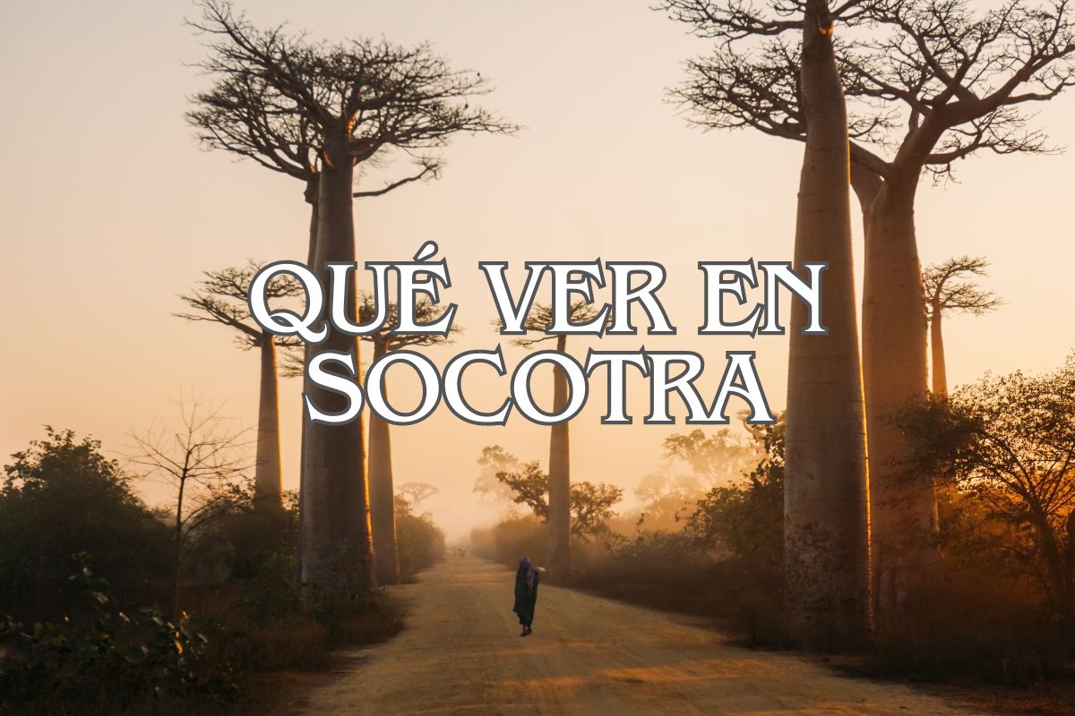 Que ver en Socotra Yemen