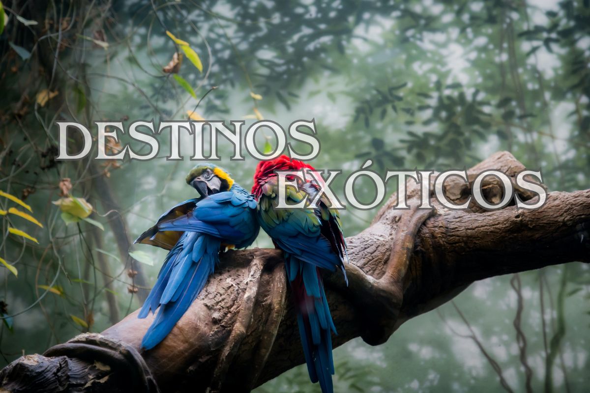 los mejores destinos exoticos