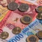 Florin Hungaro, La moneda Oficial de Hungria