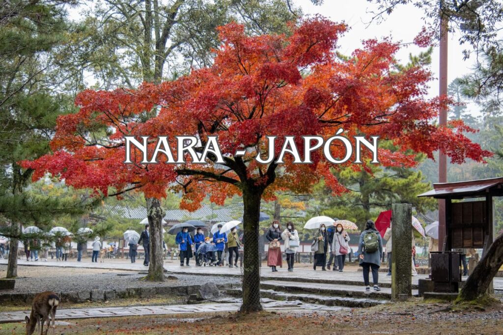 Mejores ciudades de Japón para visitar