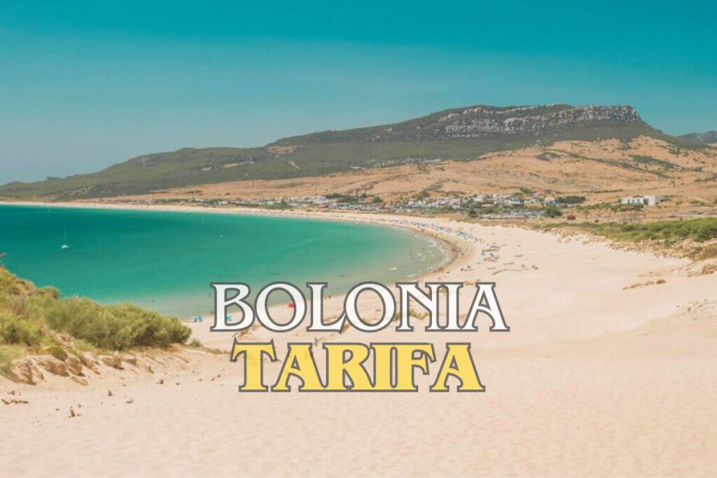 Bolonia, Tarifa Bolonia, Tarifa