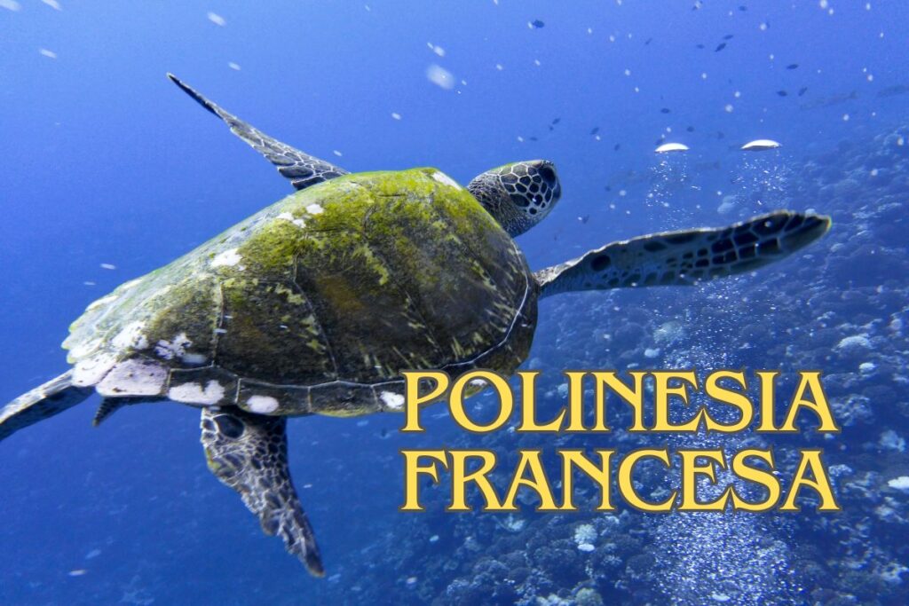 Buceo en La Polinesia Francesa