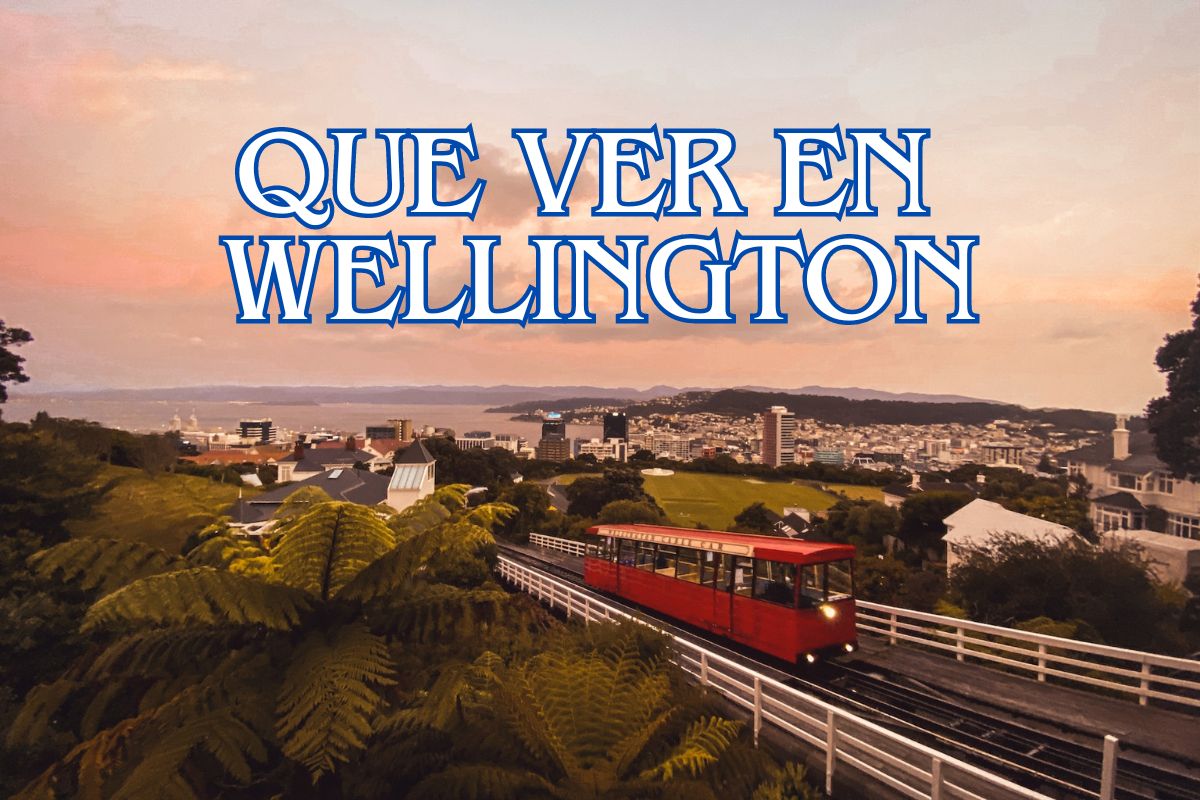 Que ver en Wellington