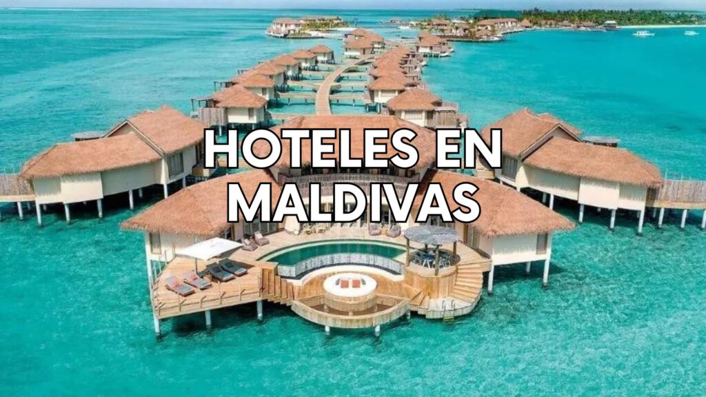 Mejores hoteles de Malvidas