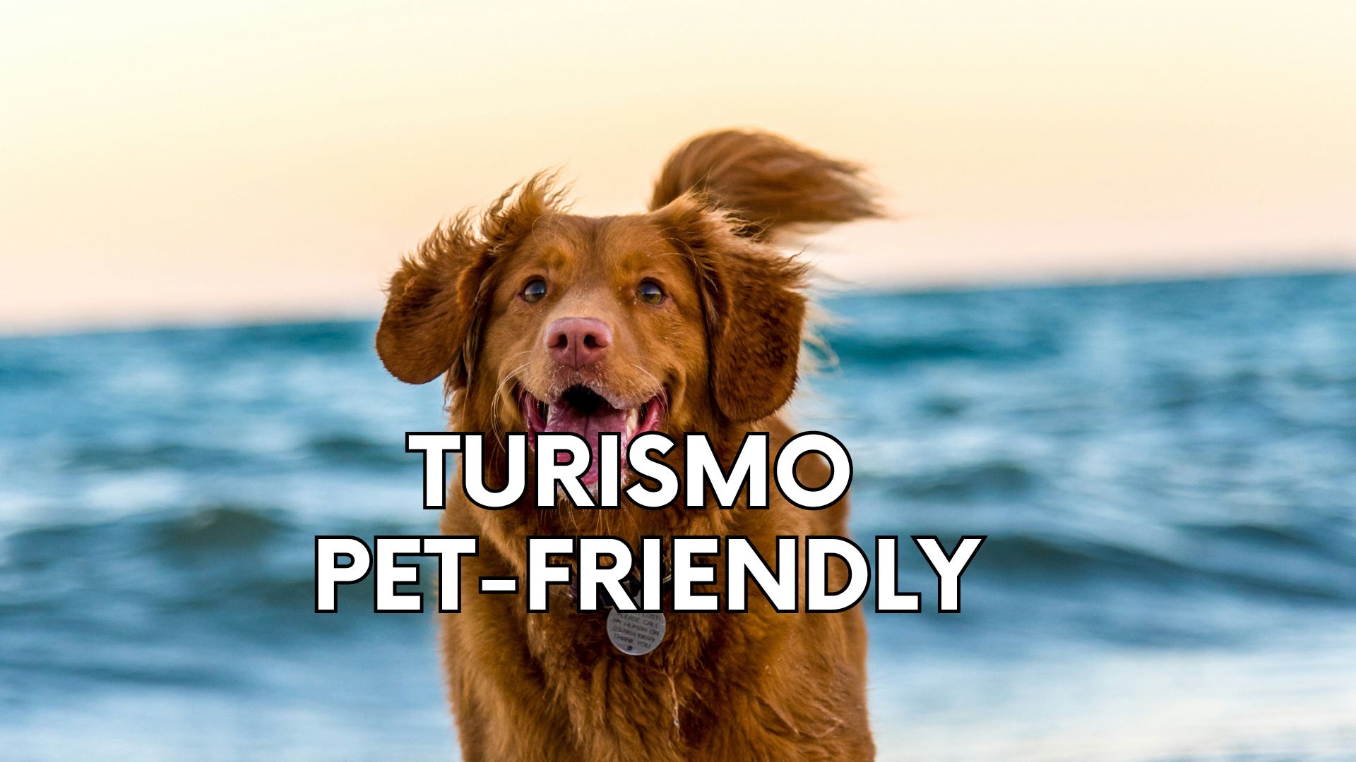 Turismo Pet Friendly