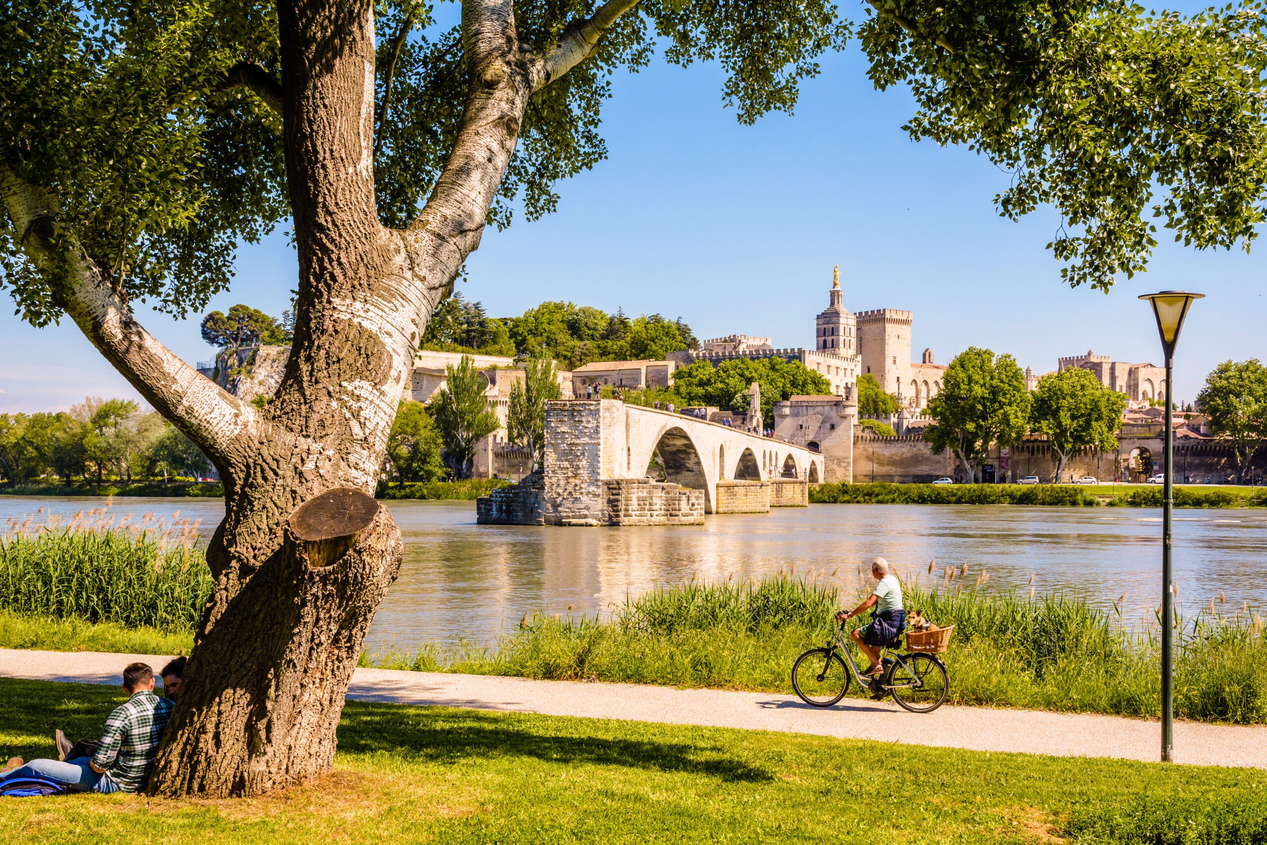 Que ver en Avignon