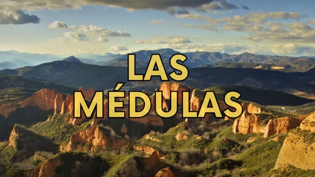 Las medusas de Leon